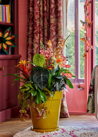 A yellow planter with anthuriums