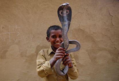 Ravi Nath poses for a photograph with a cobra snake.