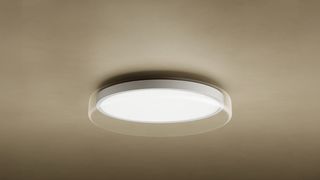 Smart Ceiling Light D20