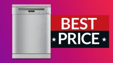 The best Black Friday dishwasher deals 2021: A stainless steel Miele dishwasher on a red and pink background