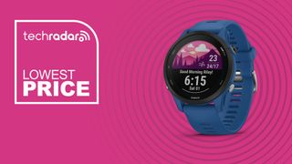 Garmin forerunner on a pink background with the text "lowest price"