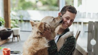Man being licked by cute dog
