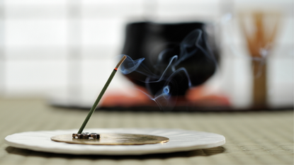 These are some of the best incense sticks to buy