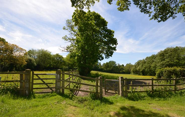 equestrian properties