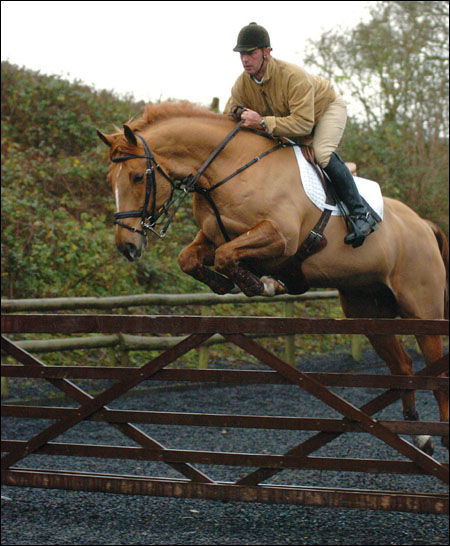Geoff Luckett enjoys jumping Louise Bell's champion working hunter Cruise Control
