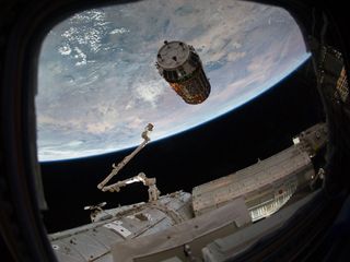 The Japanese Kounotori2 H-II Transfer Vehicle (HTV2) nears the International Space Station on January 27, 2011, carrying over four tons of food and supplies to the space station. The station's Canadarm2 reaches out to attach the HTV2 to the Earth-facing p