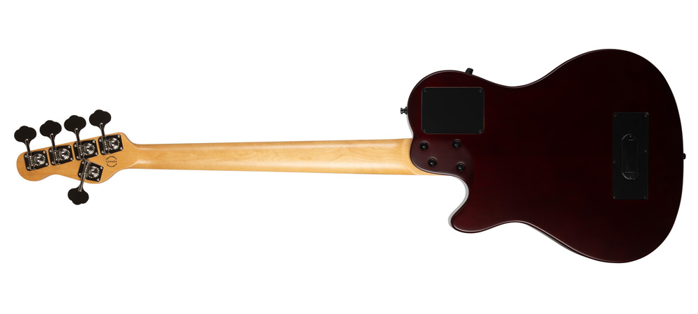 Godin fretless bass guitar