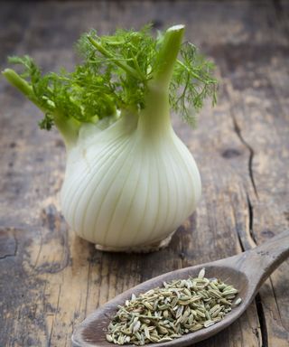 A fennel bulb on a wooden table with a spoon filled with fennel seeds