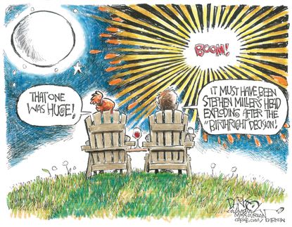 Political Cartoon