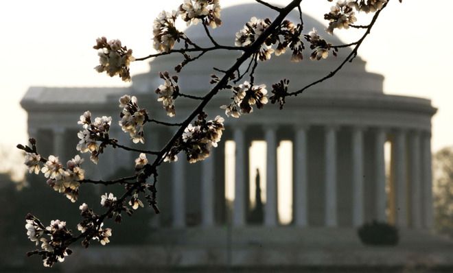 Jefferson Memorial 