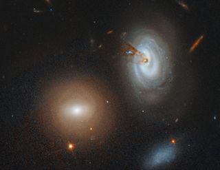 The spiral galaxy D100 (far right) is being stripped of its gas as it falls into the center of the Coma galaxy cluster in this view from the Hubble Space Telescope. The brown streaks near the center of D100 are gas being stripped from the galaxy.