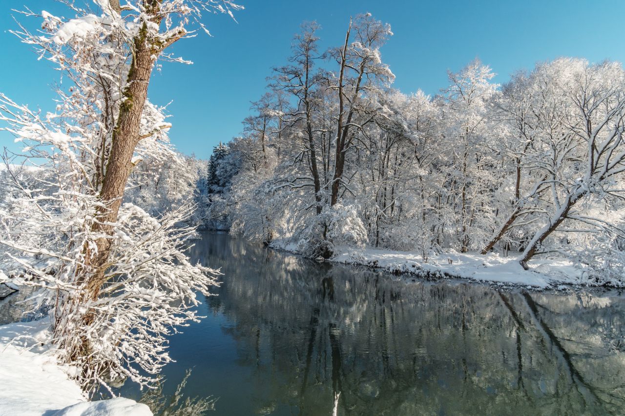 Dirk St - Germany