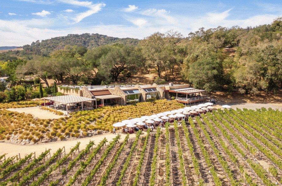 Judgment of Napa - Stag's Leap Wine Cellars