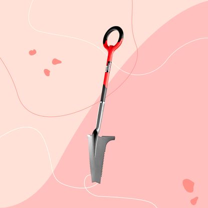 RootSlayer on a pink background graphic