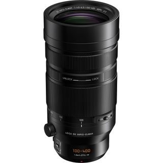 Panasonic Leica DG Vario-Elmar 100-400mm f/4-6.3 ASPH. POWER O.I.S. Lens