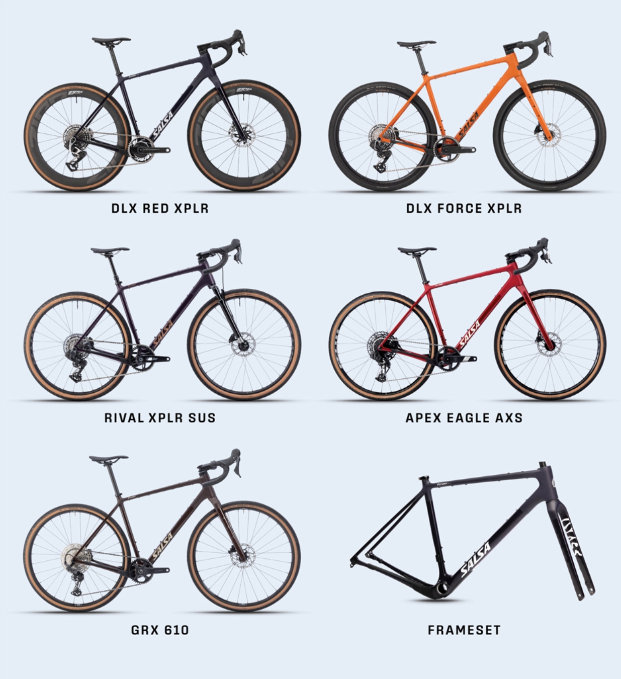 Salsa Cycles Flyway