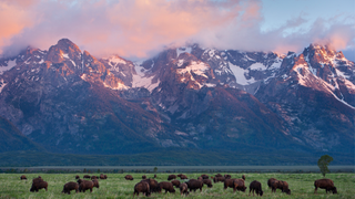 Yellowstone National Park