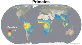 Map of primate diversity