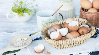 Eggshells in basket