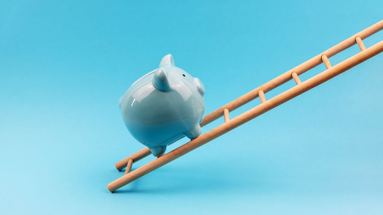 piggy bank climbing ladder