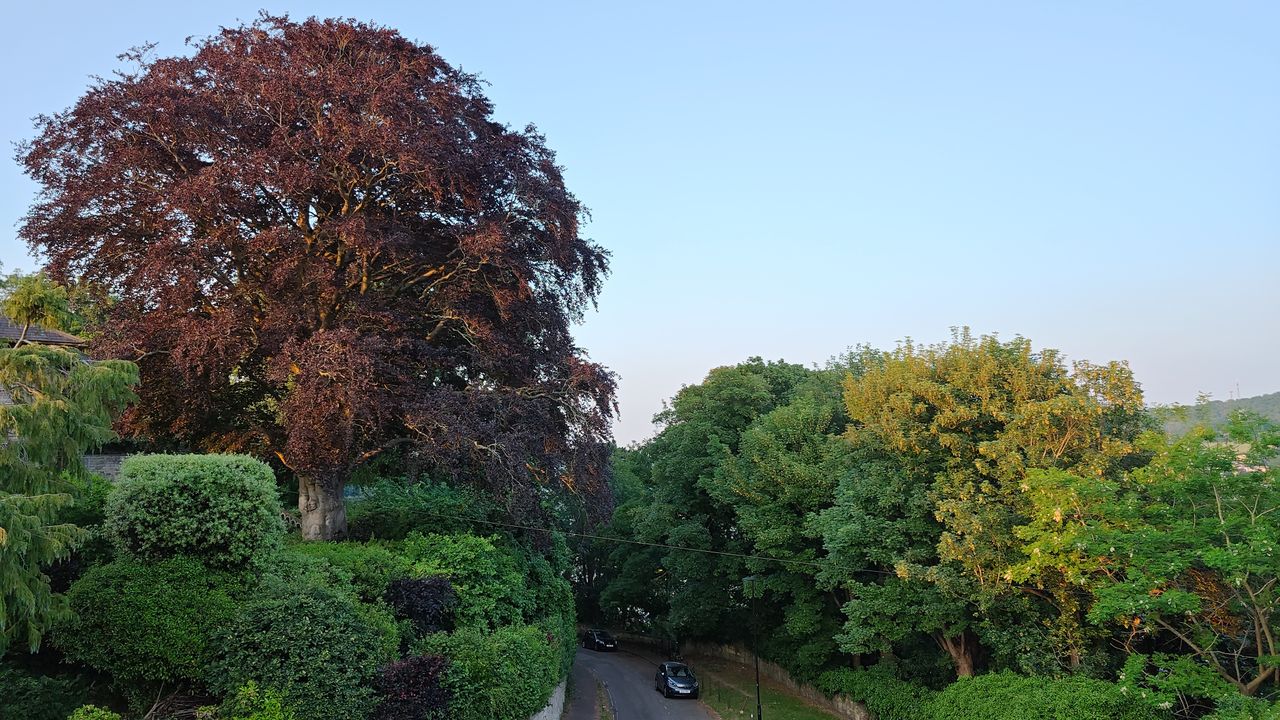 Images taken on the Redmagic 8 Pro