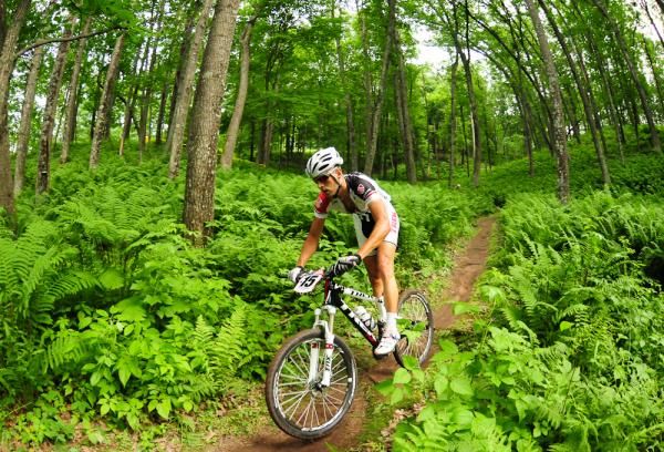 Adam Morka (Trek Toronto) descending through Fern Gulch