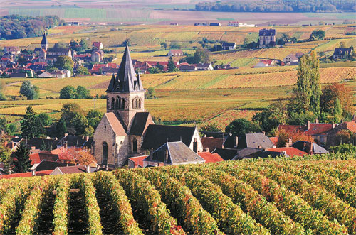 French wine regions