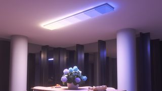 Nanoleaf skylight lighting
