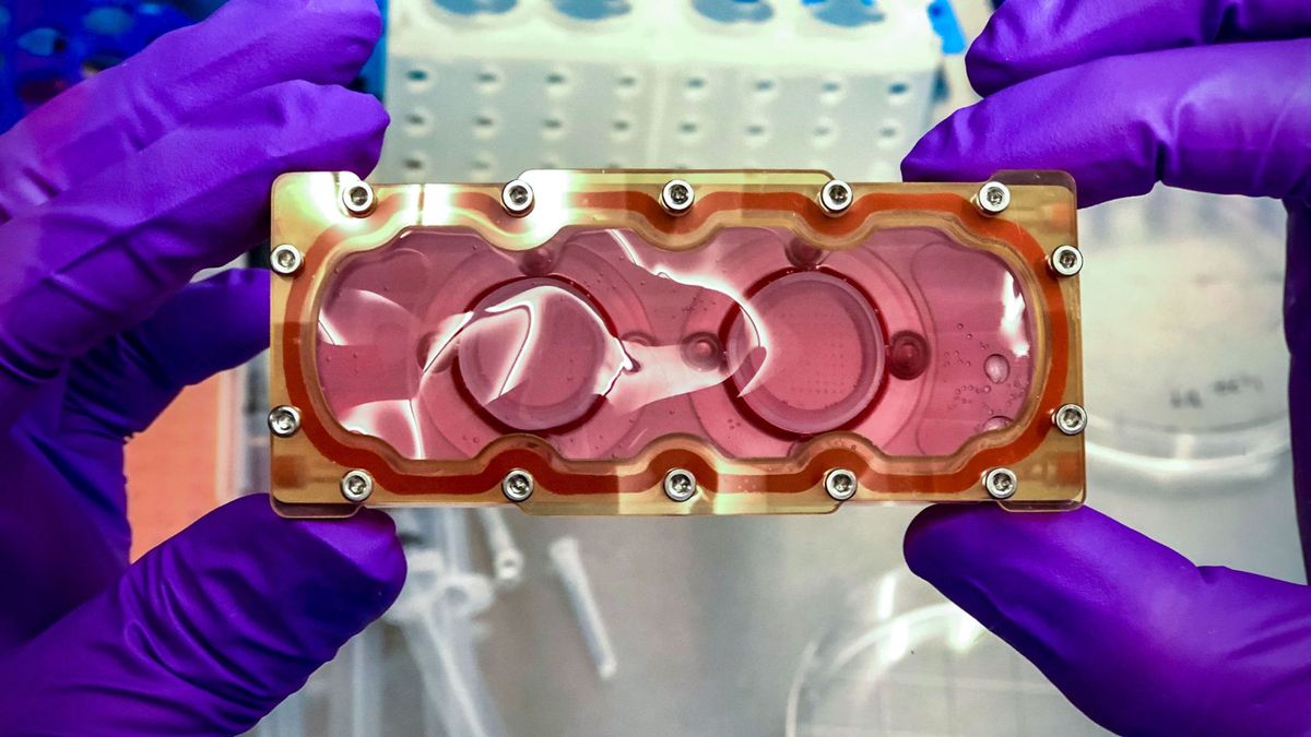 photo shows a light pink and orange device being held up by the gloved hands of a scientists in a lab setting