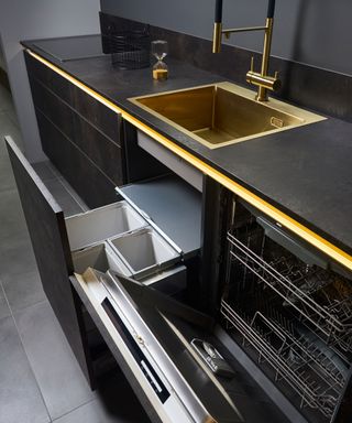 Pull-out trash can under the kitchen sink and next to the dishwasher