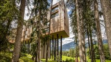 A shot of the exterior of the My Arbor treetop hotel in the Dolomite mountains of North Italy