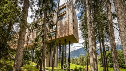 A shot of the exterior of the My Arbor treetop hotel in the Dolomite mountains of north Italy