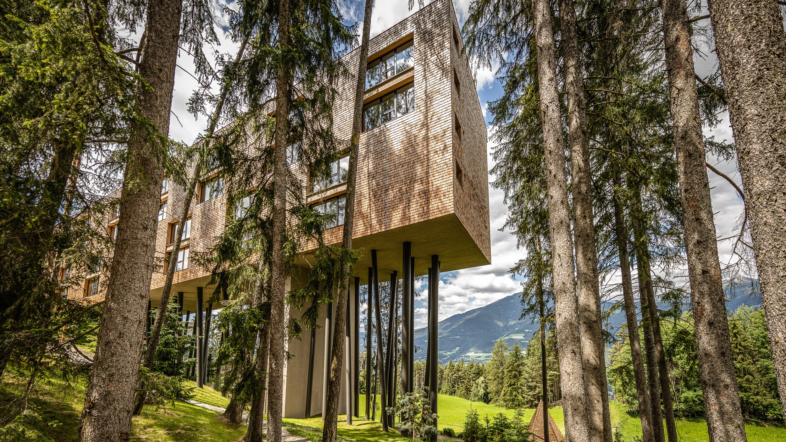  My Arbor: a unique treetop retreat in the Dolomite mountains 