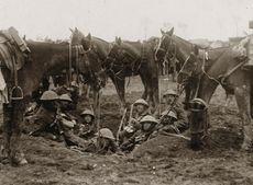 Warhorse.jpeg