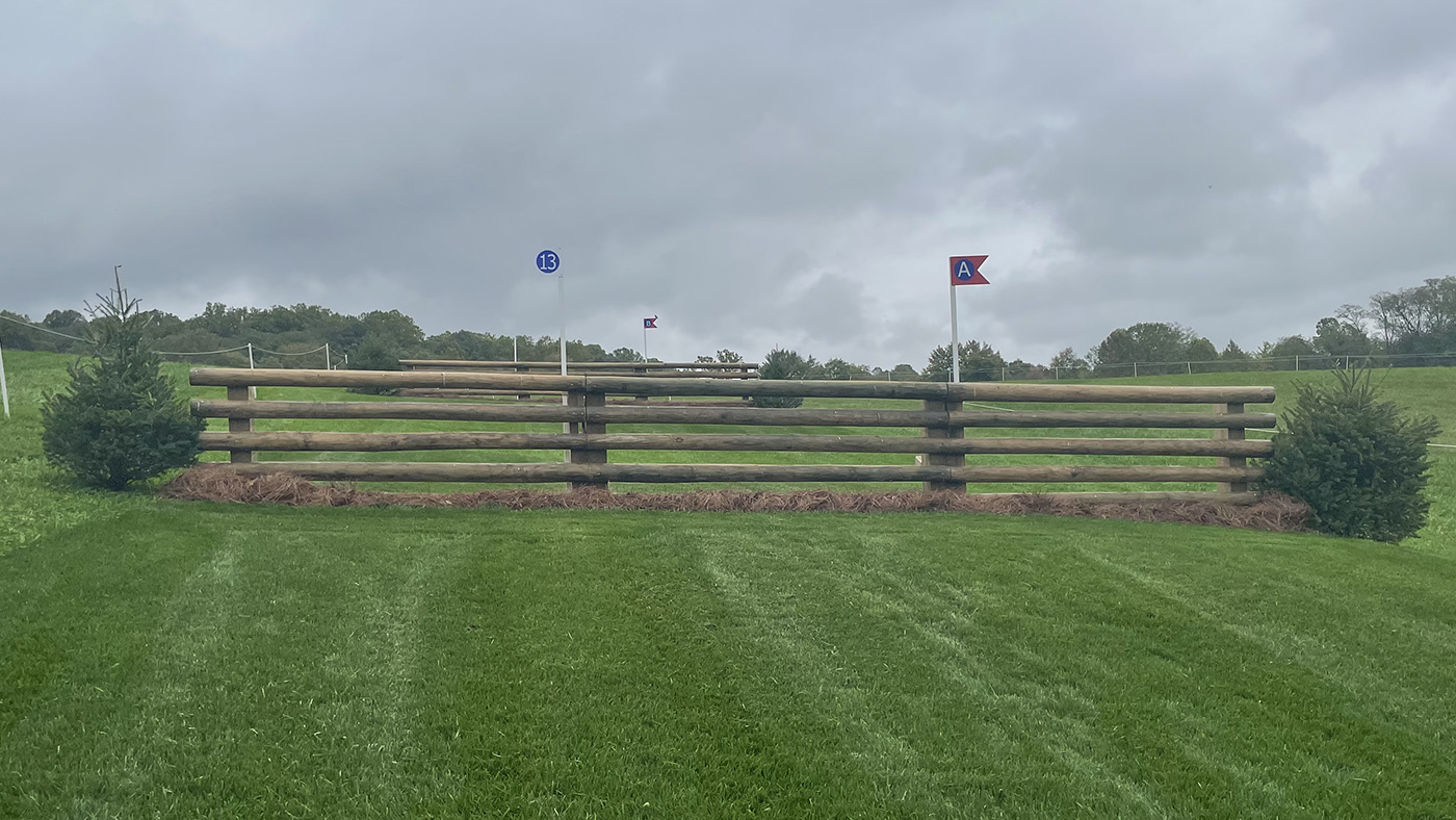 Fence13a