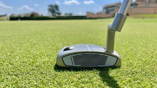 The Pure Roll face on the TaylorMade Kalea Premier Spider Mini putter