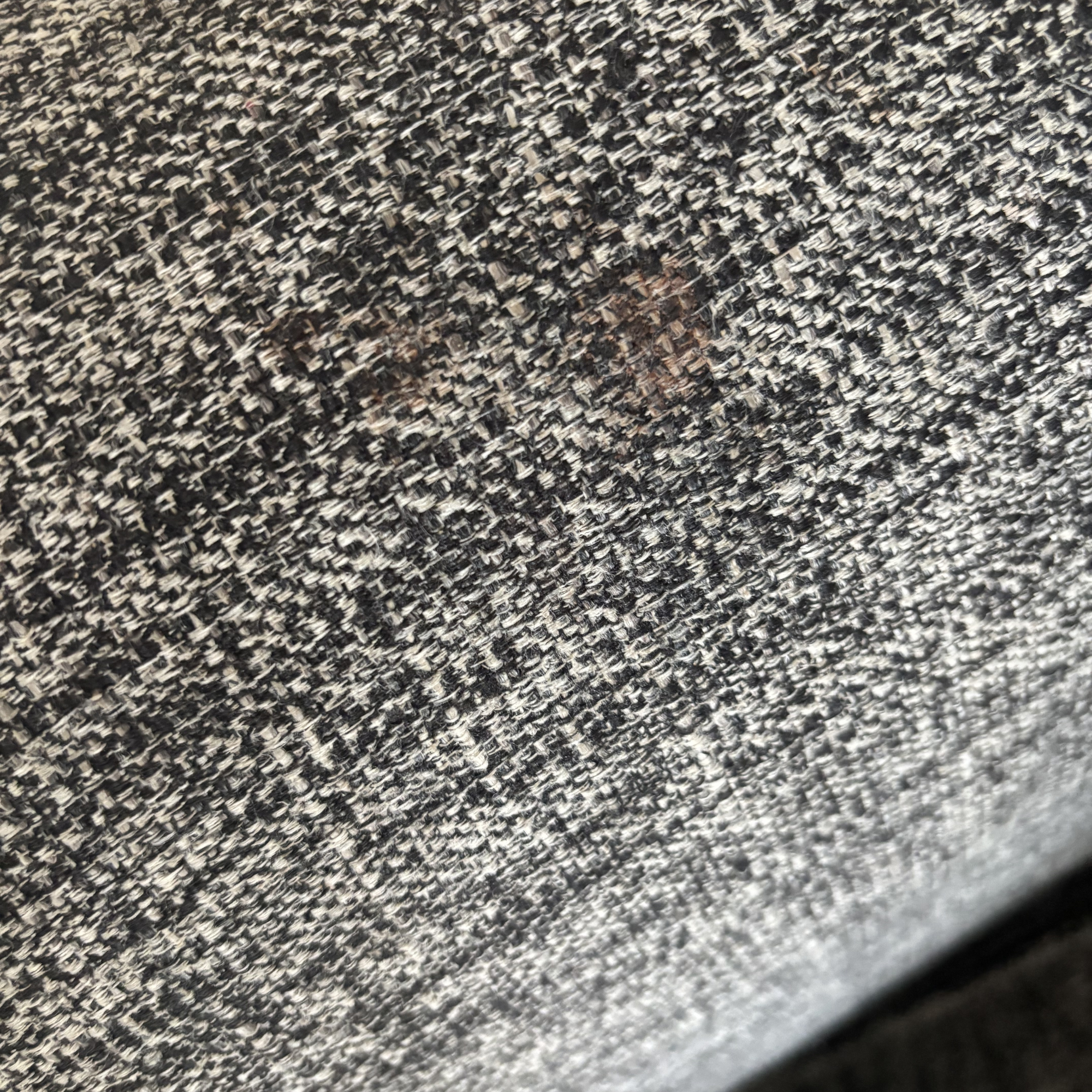 grey sofa with chocolate food marks