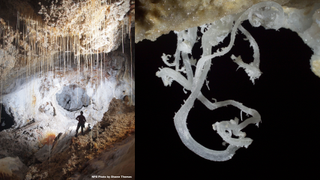 Two photos side by side showing slim soda straw stalactites in a cave and a gypsum flower hanging from the ceiling.