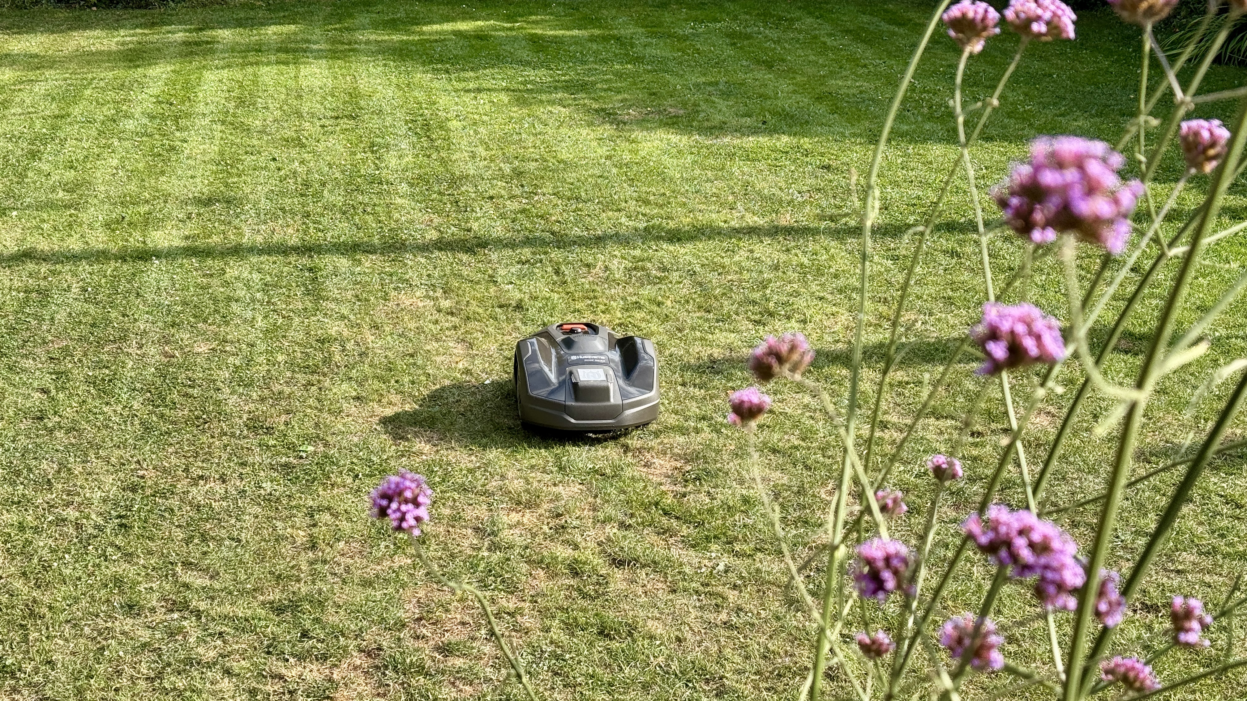 Husqvarna Automower 305E NERA on tester&#039;s lawn