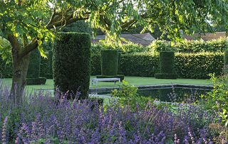 The pond in the Silent Garden at Scampston which is surrounded by 24 yew columns and nepeta in the foreground