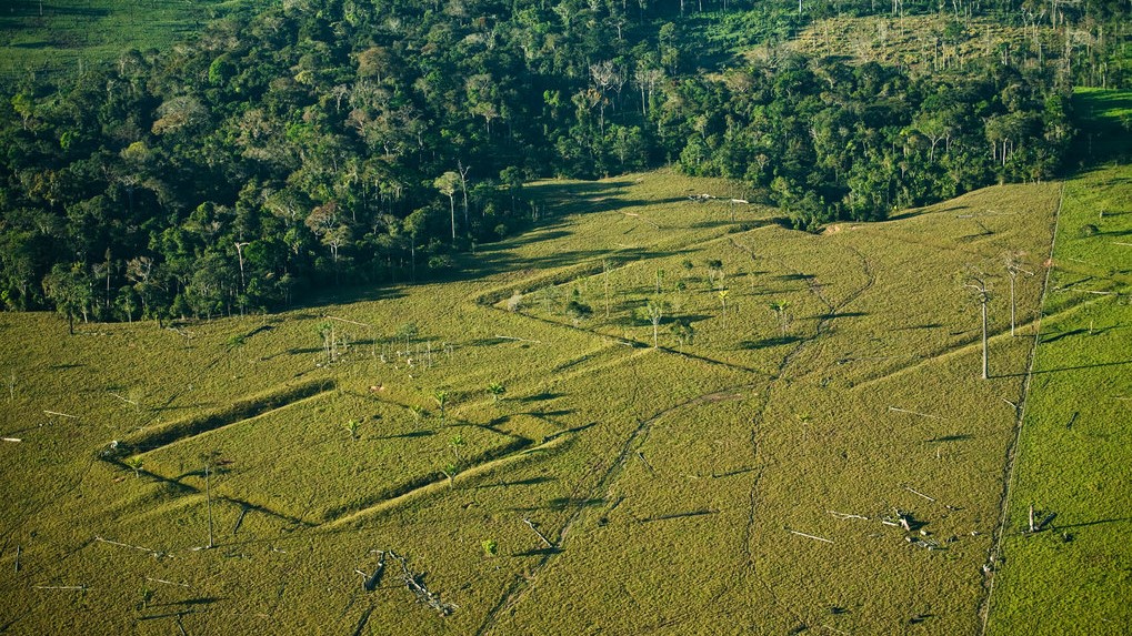 Earthworks on Amazonian landscape.