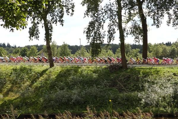 The huge peloton files along the side of a canal.