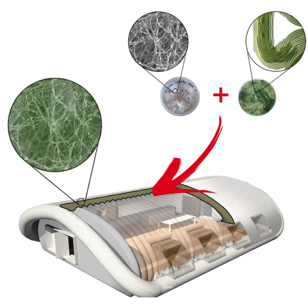 An artist&#039;s depiction of a habitat built with fungal tissue.