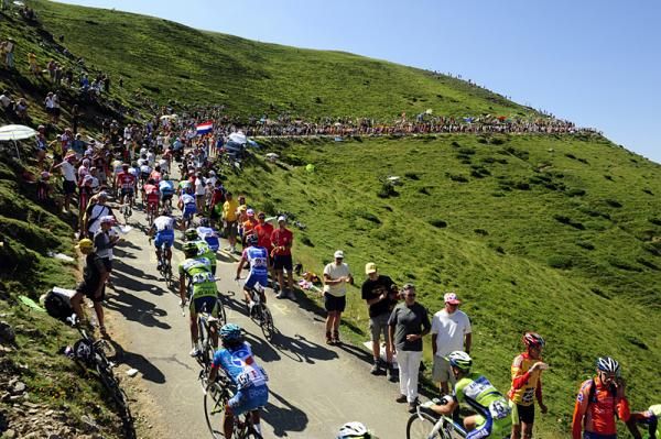The peloton climbs during stage 15