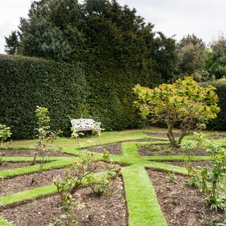 old rectory garden with green plants