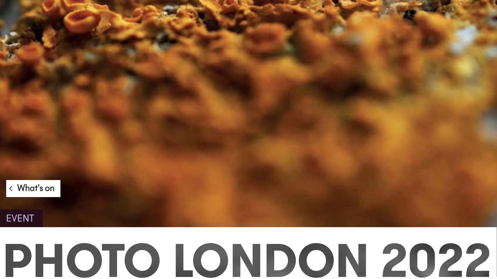 The best things to do in London in May 2022