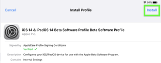 iPadOS 14 developer beta installation step 10