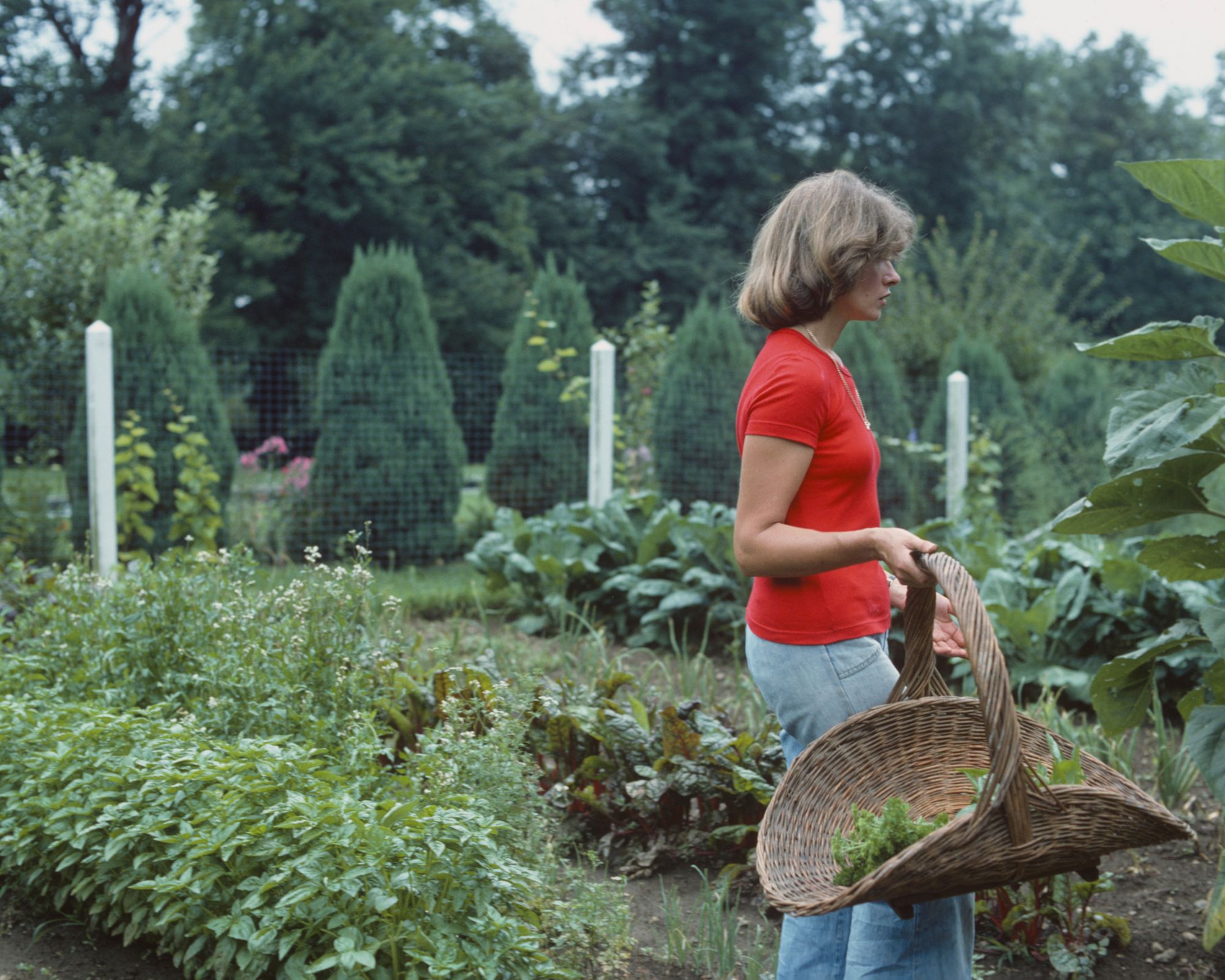 martha stewart in her garden