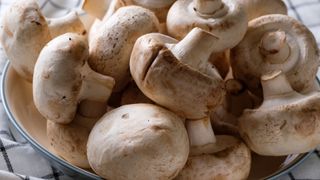 Mushrooms in bowl