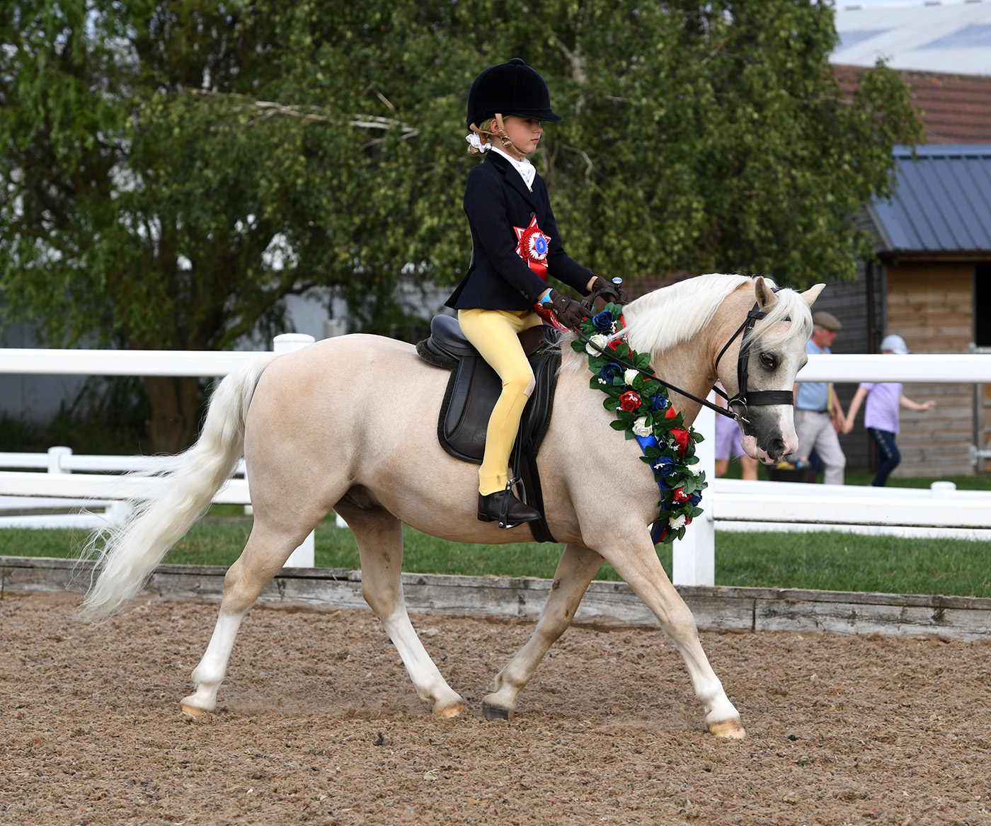BSPS Champs. 26.08.22F/Ridden No. 714( See Trish story)